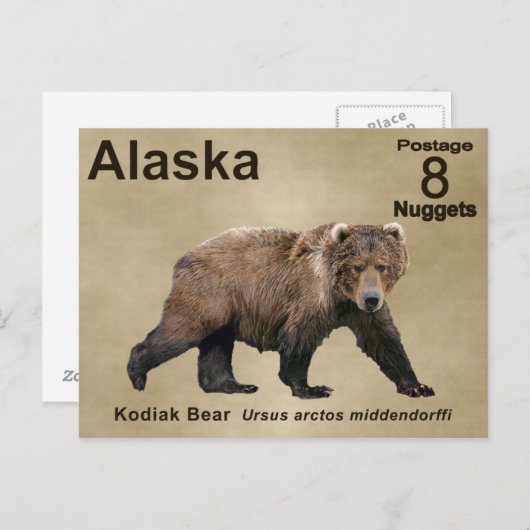 Carte Postale Cook bear (Devant / Derrière)