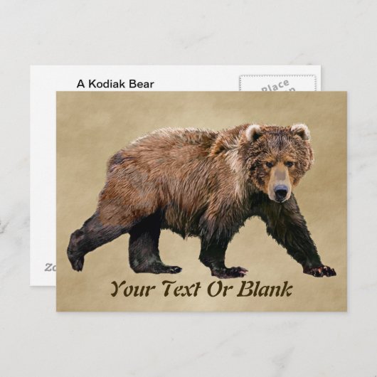 Carte Postale Cook bear (Devant / Derrière)