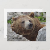 Carte Postale Cook bear (Devant / Derrière)