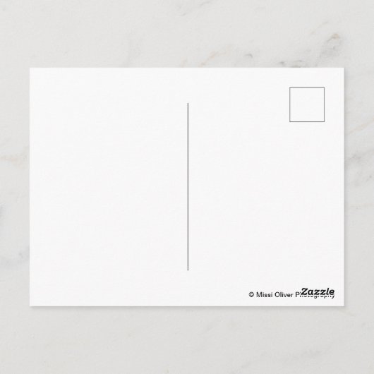 Carte postale Cookes Peak 14 (Dos)