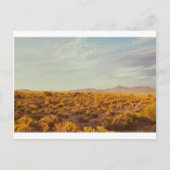 Carte postale Cookes Peak 14 (Devant)