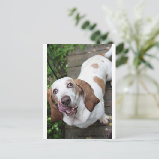 Carte Postale Cookie ? (Debout devant)