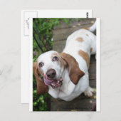 Carte Postale Cookie ? (Devant / Derrière)