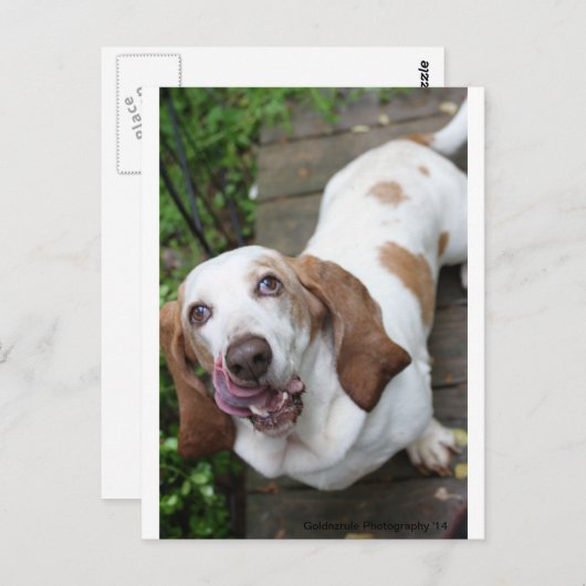 Carte Postale Cookie ? (Devant / Derrière)