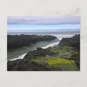 Carte Postale Cook's Chasm, cap Perpetua, Oregon