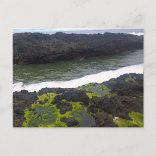 Carte Postale Cook's Chasm, cap Perpetua, Oregon