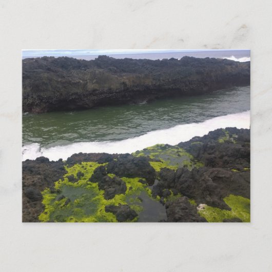 Carte Postale Cook's Chasm, cap Perpetua, Oregon (Devant)