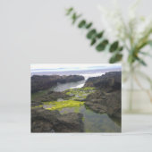 Carte Postale Cook's Chasm, cap Perpetua, Oregon (Debout devant)