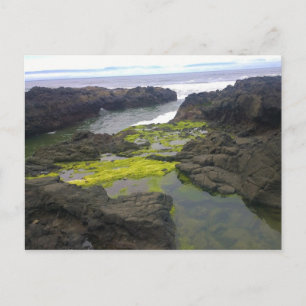 Carte Postale Cook's Chasm, cap Perpetua, Oregon