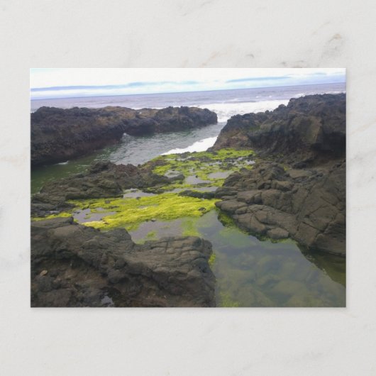 Carte Postale Cook's Chasm, cap Perpetua, Oregon (Devant)