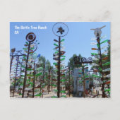 Carte postale cool Bottle Tree Ranch ! (Devant)