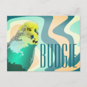 Carte Postale Cool Funky Retro 80's Blue Green Budgie Animaux (Devant)