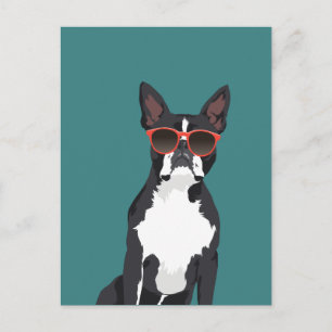 Carte Postale Cool Hipster noir et blanc Boston Terrier