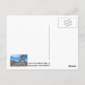 Carte postale cool Joshua Tree ! (Dos)