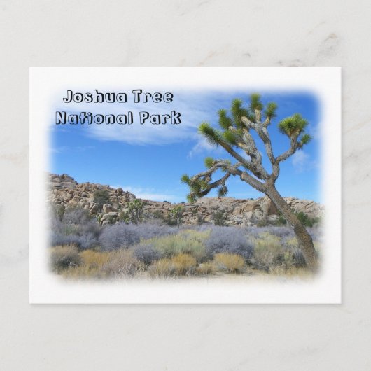 Carte postale cool Joshua Tree ! (Devant)