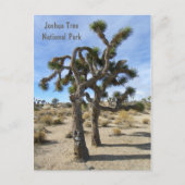 Carte postale cool Joshua Tree ! (Devant)