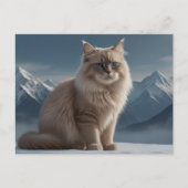 Carte Postale Cool Kitty (Devant)