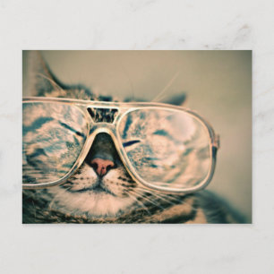 Carte Postale Cool Kitty dans les lunettes surdimensionnées