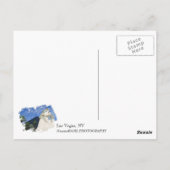 Carte postale Cool Las Vegas ! (Dos)