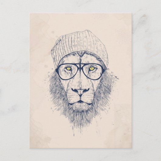 Carte Postale Cool lion (Devant)
