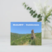 Carte postale cool Malibu ! (Debout devant)