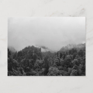 Carte Postale Cool, nature brumeuse magique