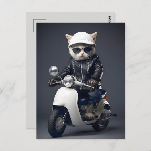 Carte Postale Cool Scooter Kitty Félicitations (Devant / Derrière)