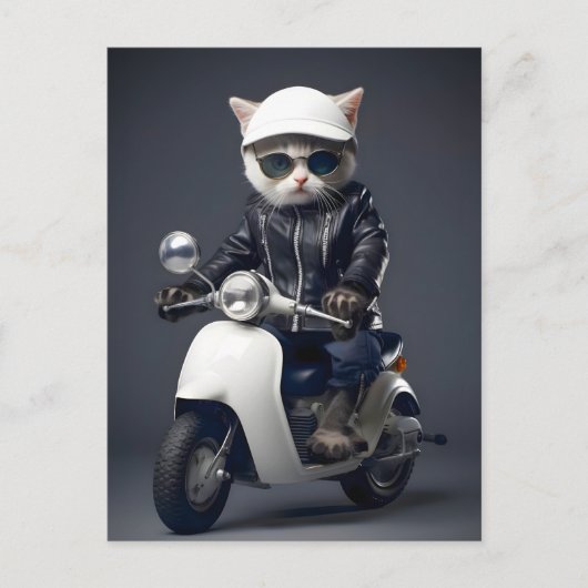Carte Postale Cool Scooter Kitty Félicitations (Devant)