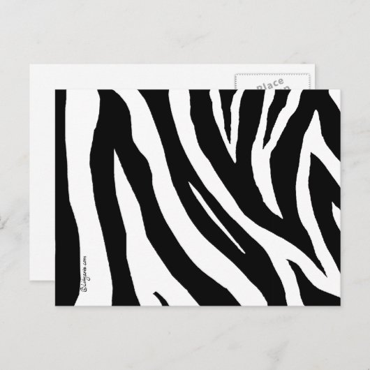 Carte postale cool Zebra Stripes (Devant / Derrière)
