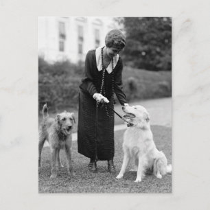 Carte Postale Coolidge & The Gang : 1924