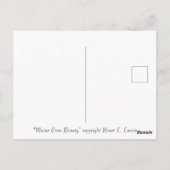 Carte Postale Coon cat du Maine par Renee Lavoie (Dos)