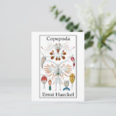 Carte Postale Copepoda par Ernst Haeckel (Debout devant)