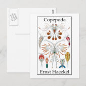 Carte Postale Copepoda par Ernst Haeckel (Devant / Derrière)