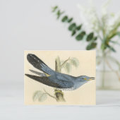 Carte Postale Copie antique d'un coucou commun (Debout devant)