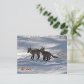 Carte Postale copie de bébés, Frères Fox (Debout devant)