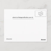 Carte Postale copie de bébés, Frères Fox (Dos)