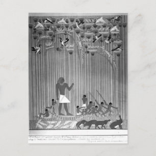 Carte Postale Copie du relief peint égyptien représentant la pêc
