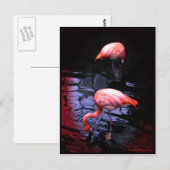 Carte Postale copie Flamant rose (Devant / Derrière)