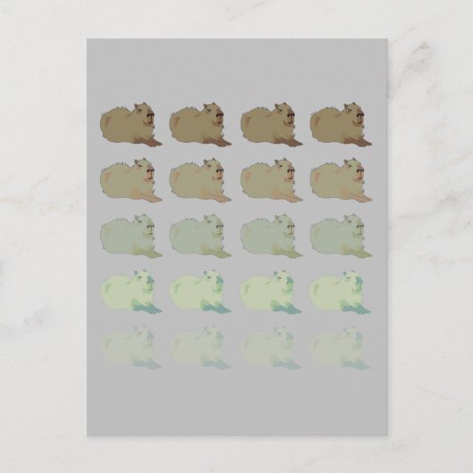 Carte Postale Copybara Capybara (Devant)