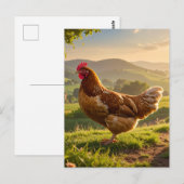 Carte Postale Coq (Devant / Derrière)