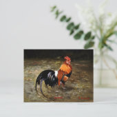 Carte Postale Coq (Debout devant)