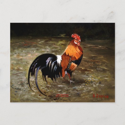 Carte Postale Coq (Devant)