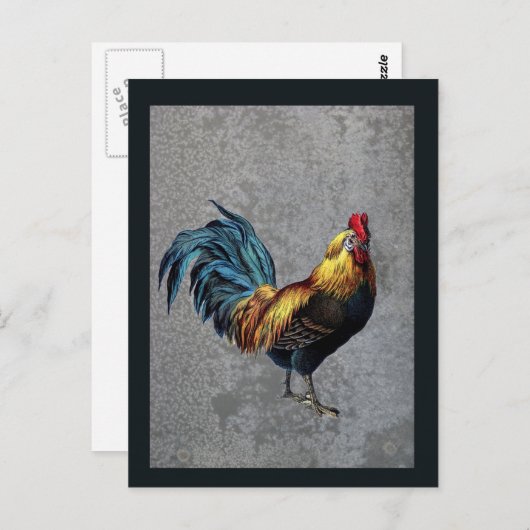 Carte Postale Coq Bantam coloré (Devant / Derrière)
