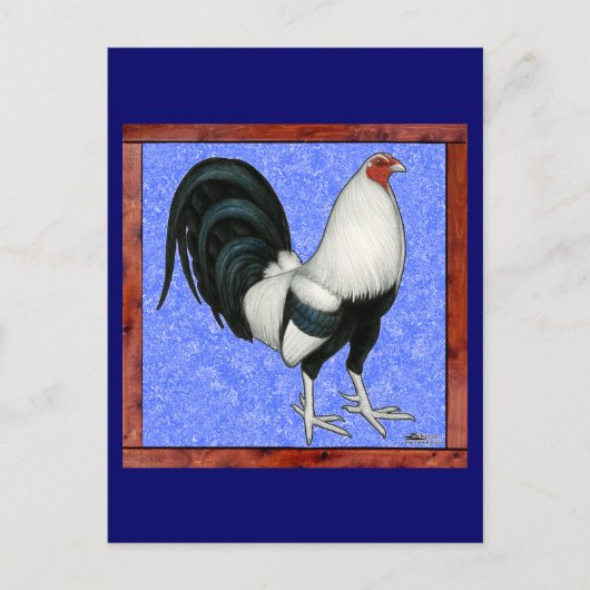 Carte Postale Coq de combat encadré (Devant)