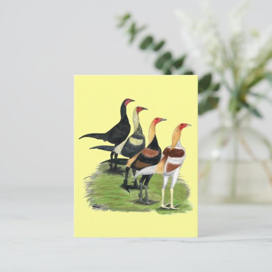 Carte Postale Coq de jeu moderne (Debout devant)