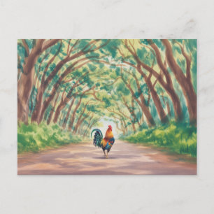 Carte Postale Coq de Kauai marchant vers un tunnel d'arbres