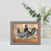 Carte Postale Coq de poulet vintage (Debout devant)