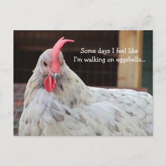 Carte Postale Coq drôle avec citation (Devant)