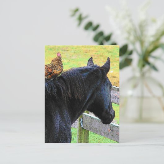 Carte Postale Coq Et Mare (Debout devant)