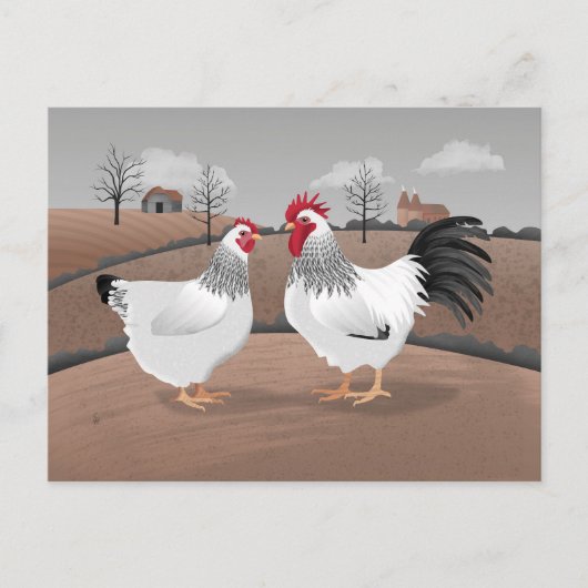 Carte Postale Coq et Poule (Devant)